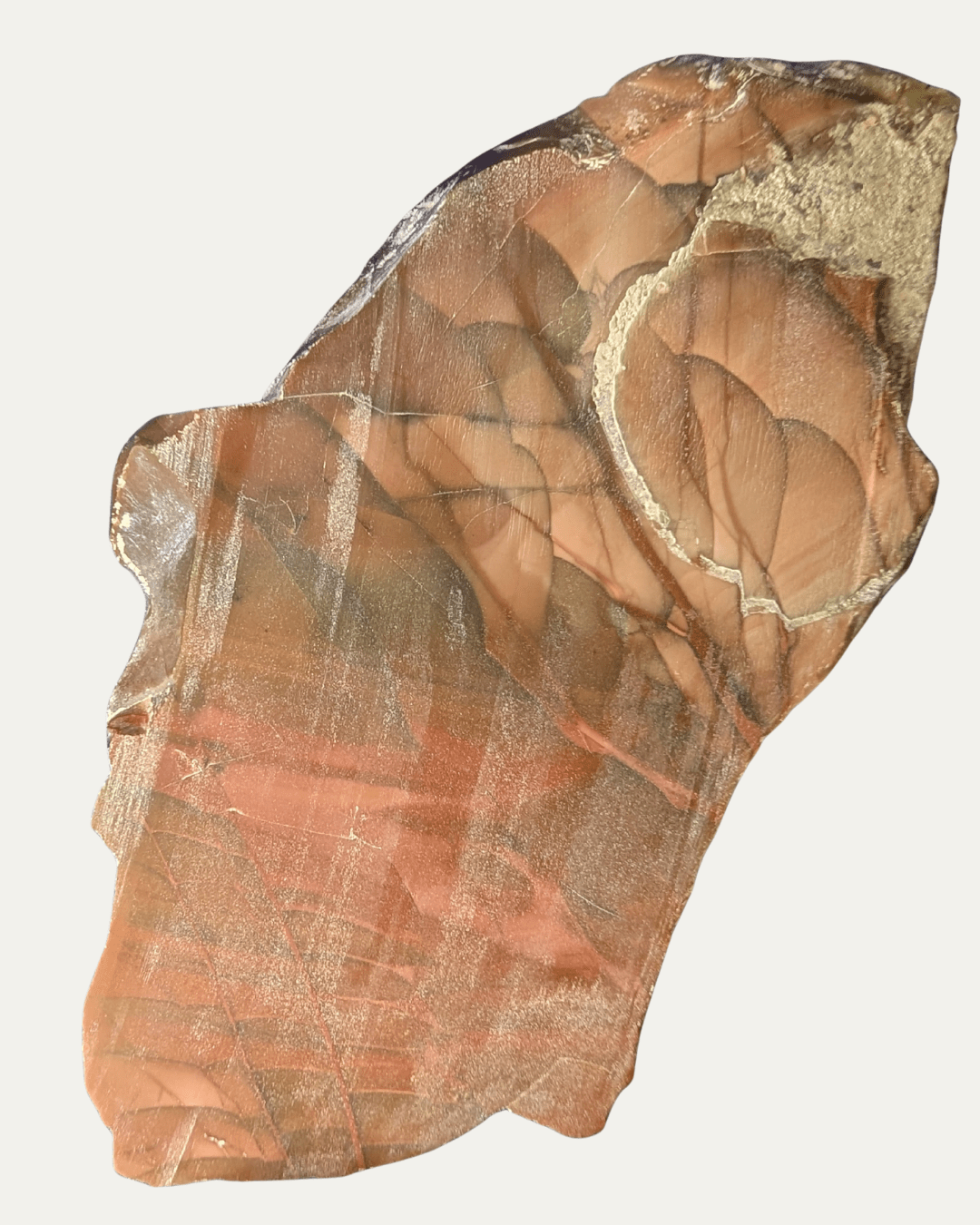 Polished Bruno Jasper (Idaho) - Lost Ancients Jewelry