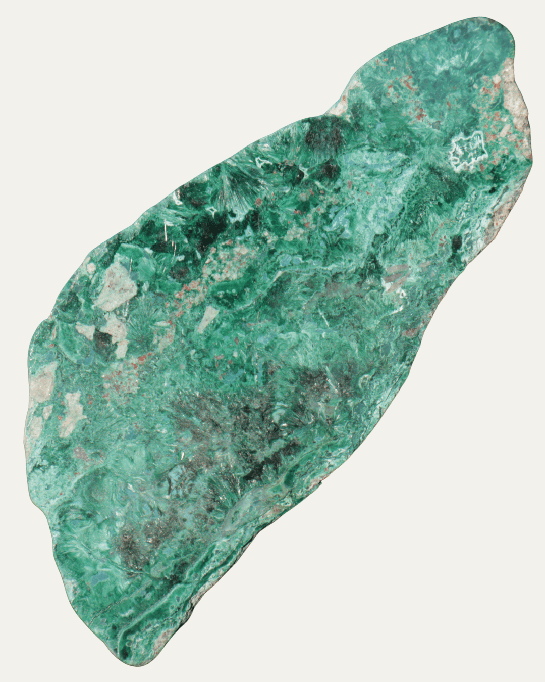 Polished Congolese Malachite - Lost Ancients Jewelry
