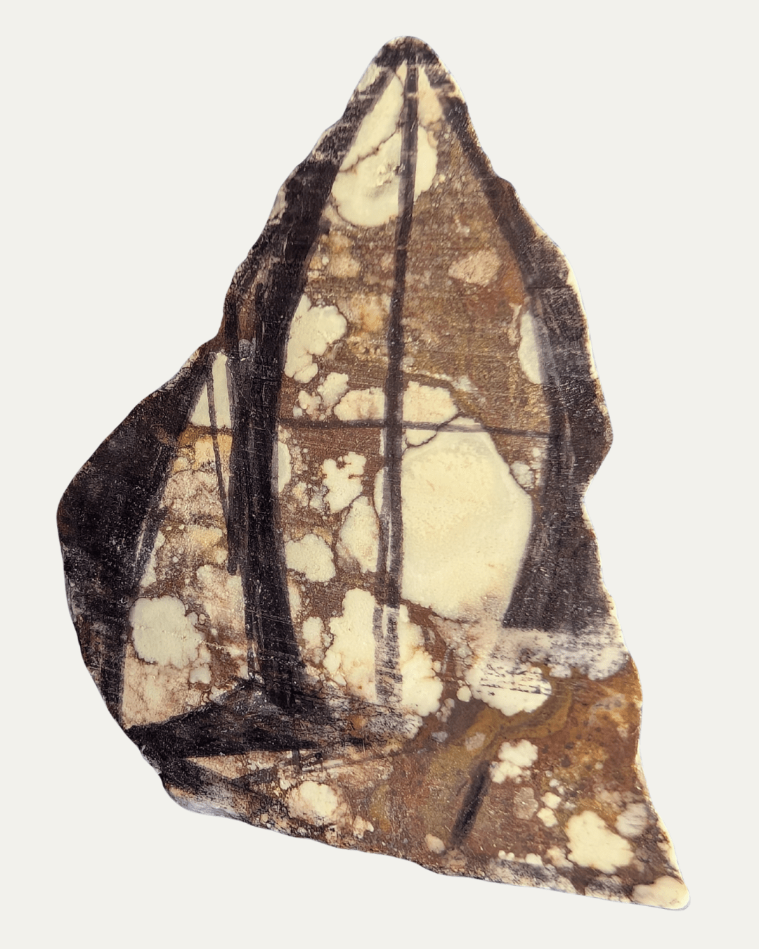 Polished Crazy Horse Turquoise - Lost Ancients Jewelry