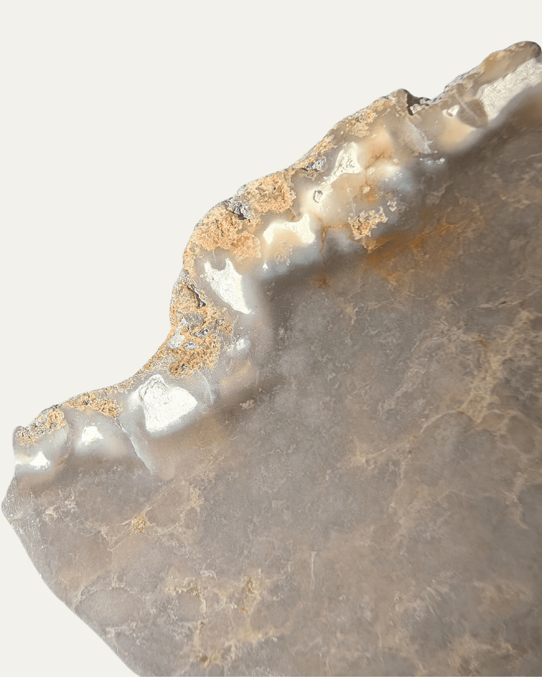 Polished Fossilized Sea Sponge (Texas) - Lost Ancients Jewelry