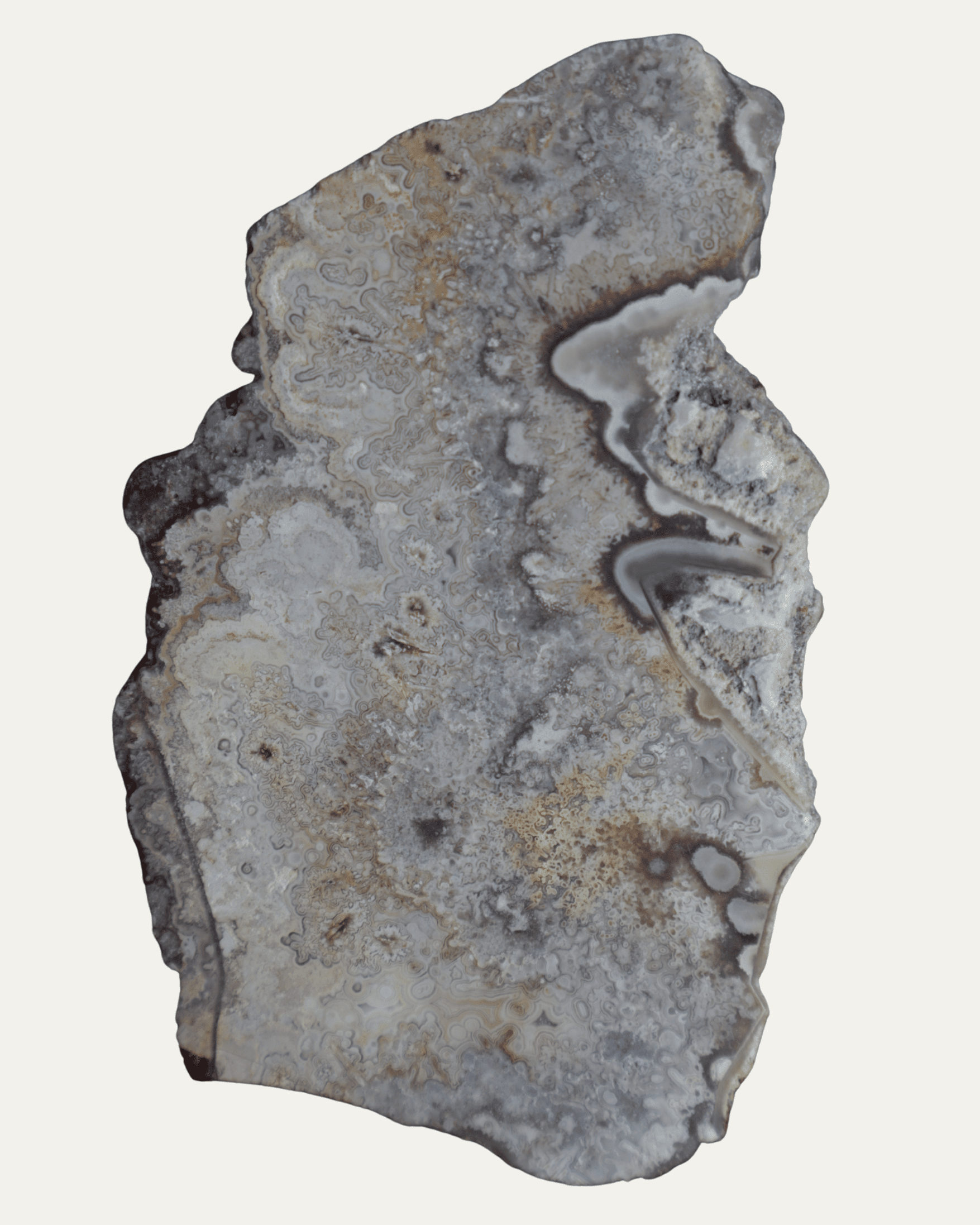 Polished Mexican Crazy Lace Agate - Lost Ancients Jewelry