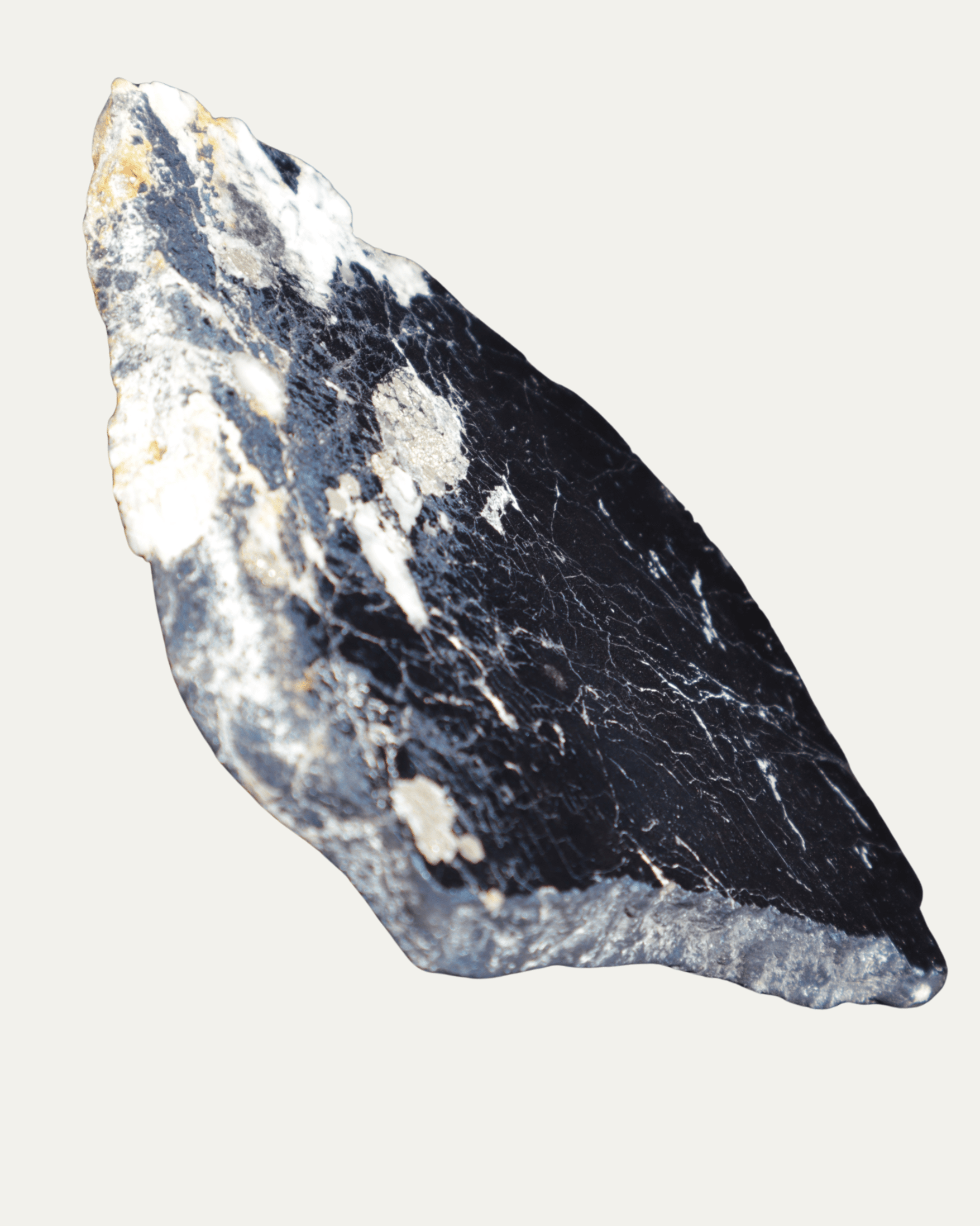 Polished Montana Covellite - Lost Ancients Jewelry