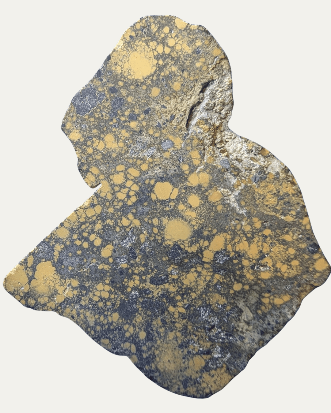 Polished New Lander Variscite Variquoise - Lost Ancients Jewelry