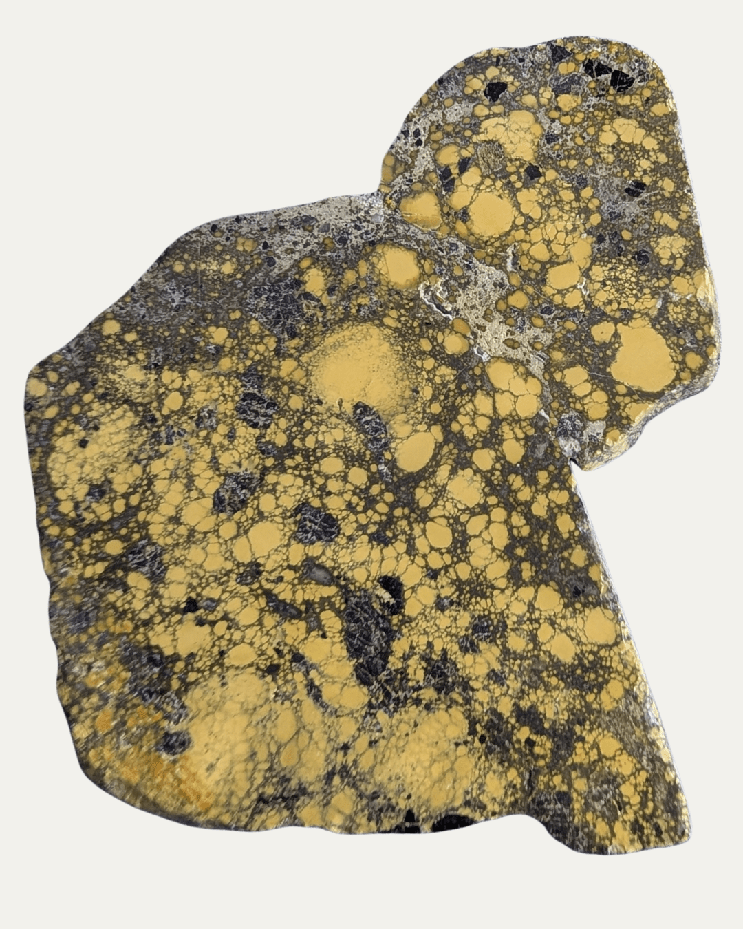 Polished New Lander Variscite Variquoise - Lost Ancients Jewelry