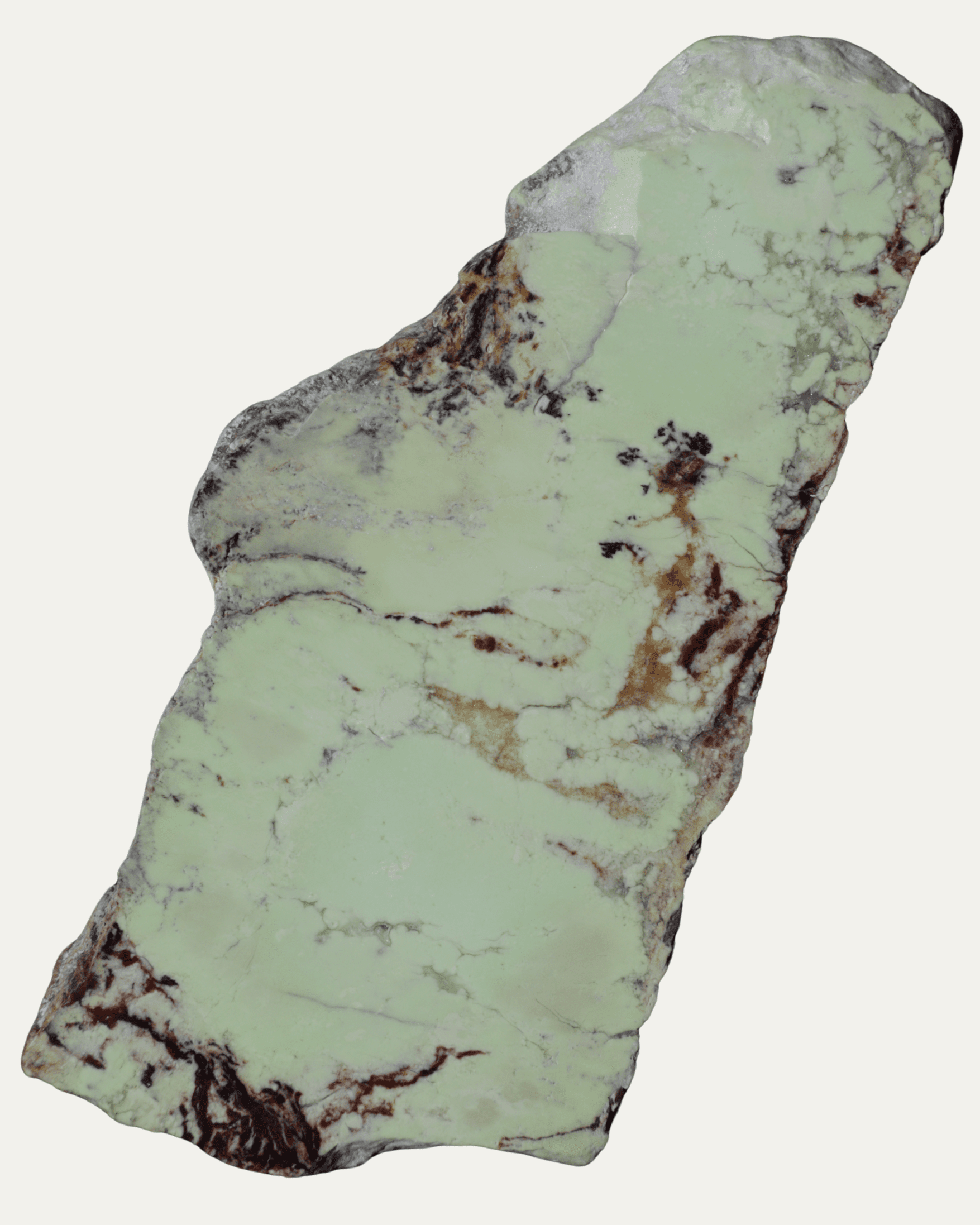 Polished Nickeloan Magnesite (Lemon Chrysoprase) - Lost Ancients Jewelry