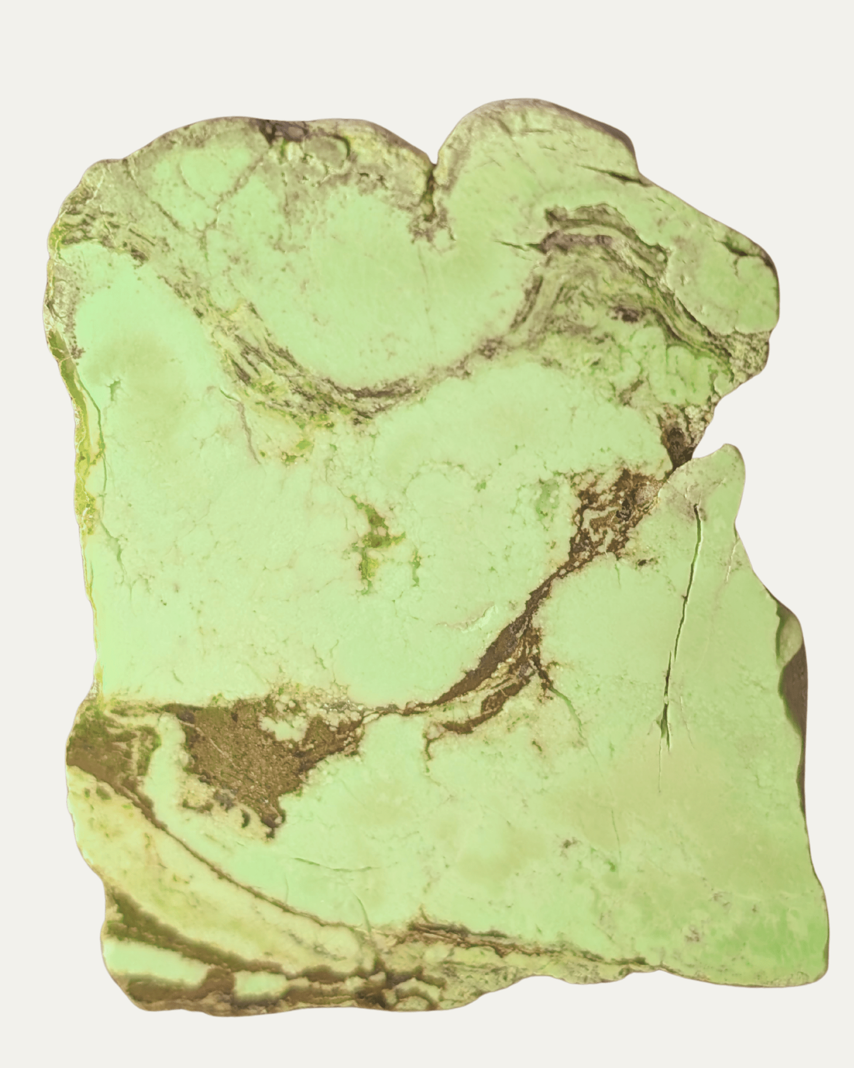 Polished Nickeloan Magnesite (Lemon Chrysoprase) - Lost Ancients Jewelry