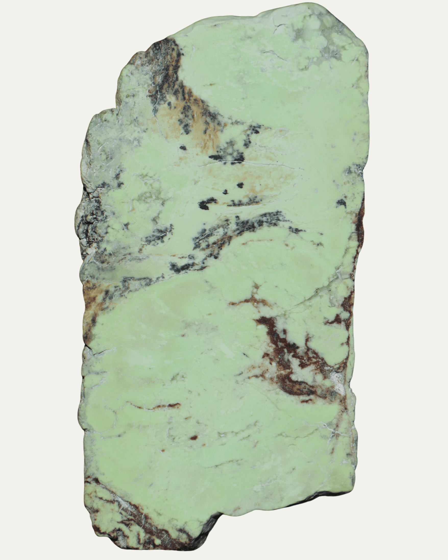 Polished Nickeloan Magnesite (Lemon Chrysoprase) - Lost Ancients Jewelry