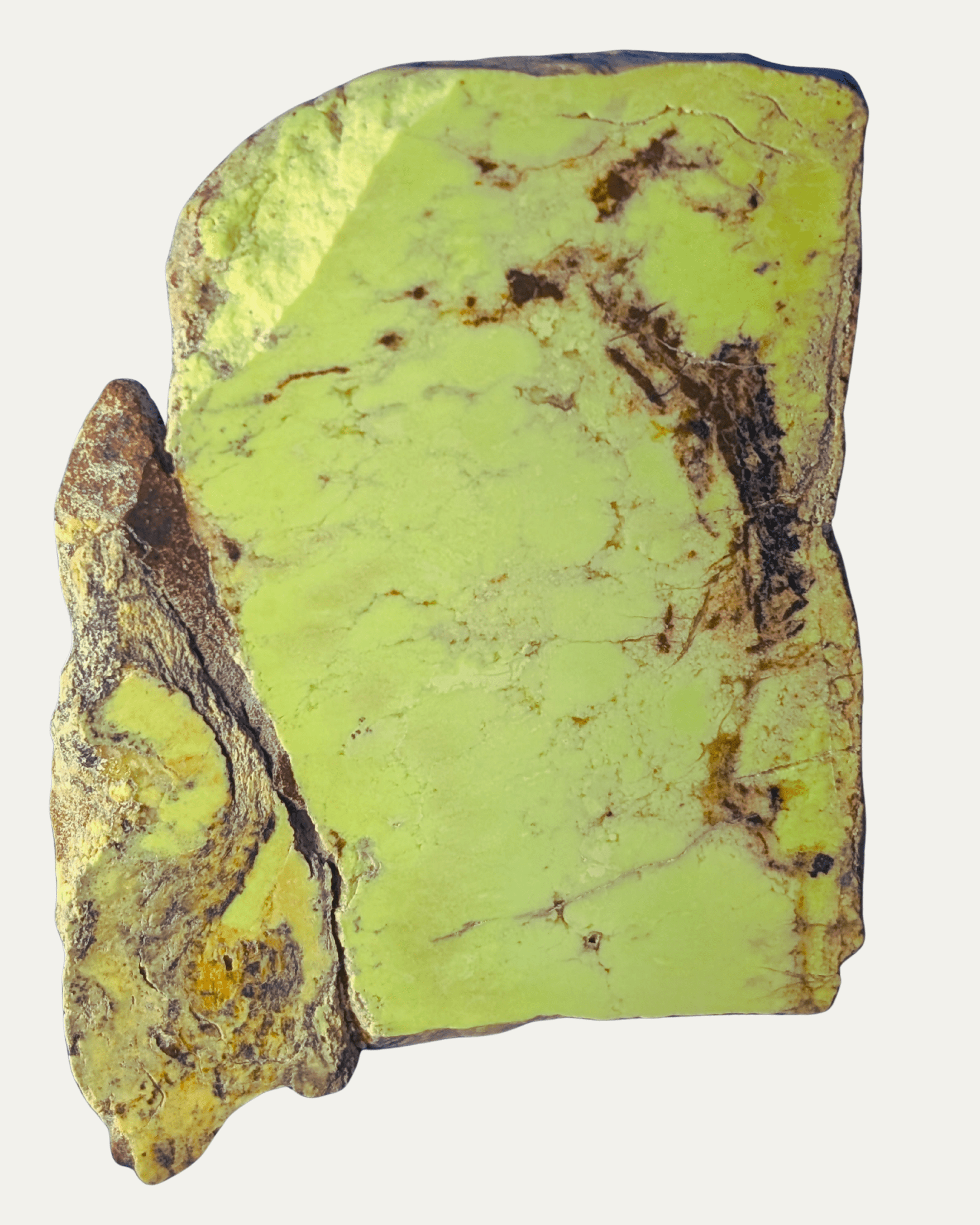 Polished Nickeloan Magnesite (Lemon Chrysoprase) - Lost Ancients Jewelry