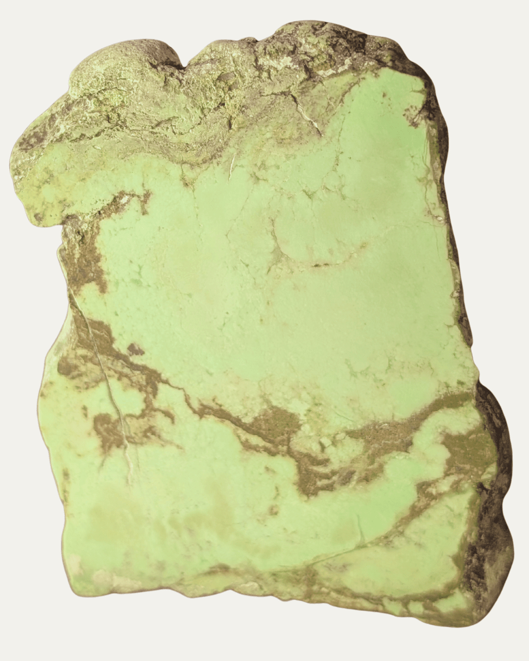 Polished Nickeloan Magnesite (Lemon Chrysoprase) - Lost Ancients Jewelry