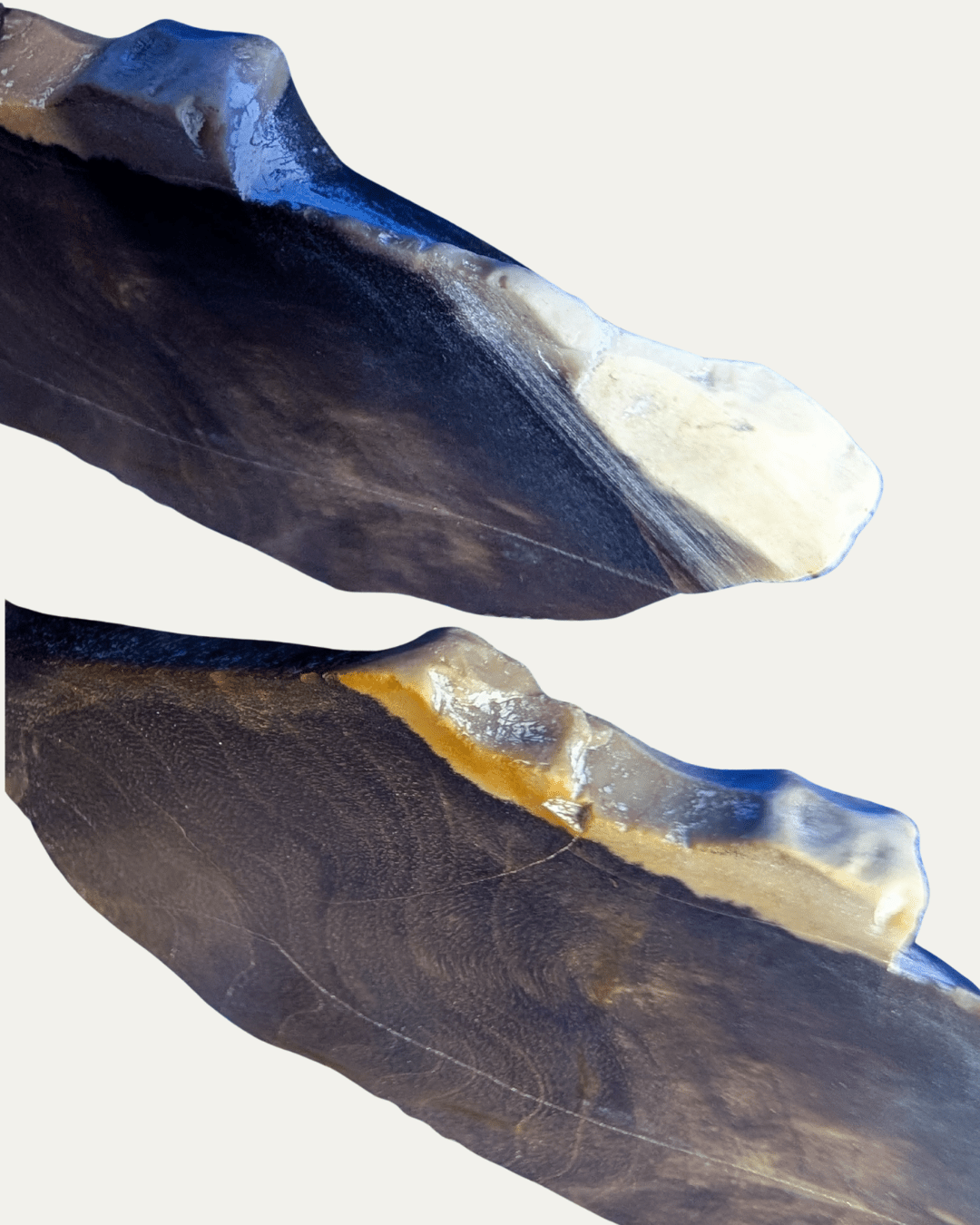 Polished Petrified Wood - Lost Ancients Jewelry