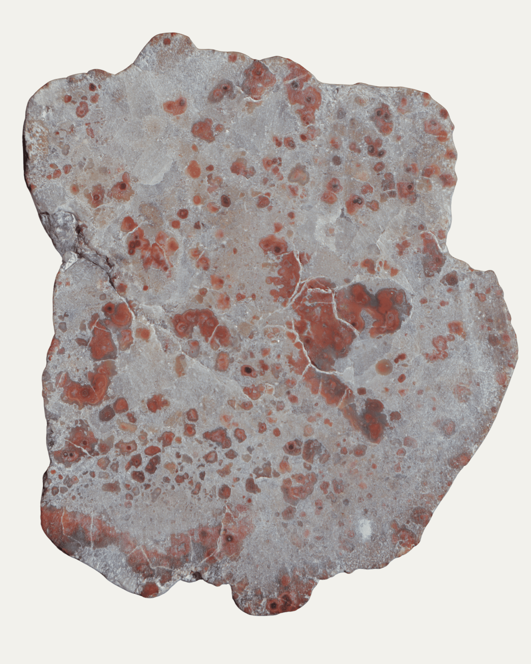 Polished Pudding Stone (Old Stock) - Lost Ancients Jewelry