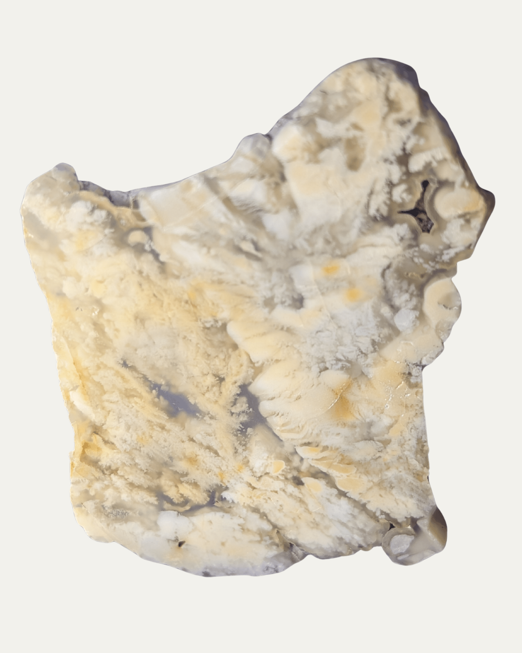 Polished Stinking Water Plume Agate (Oregon) - Lost Ancients Jewelry