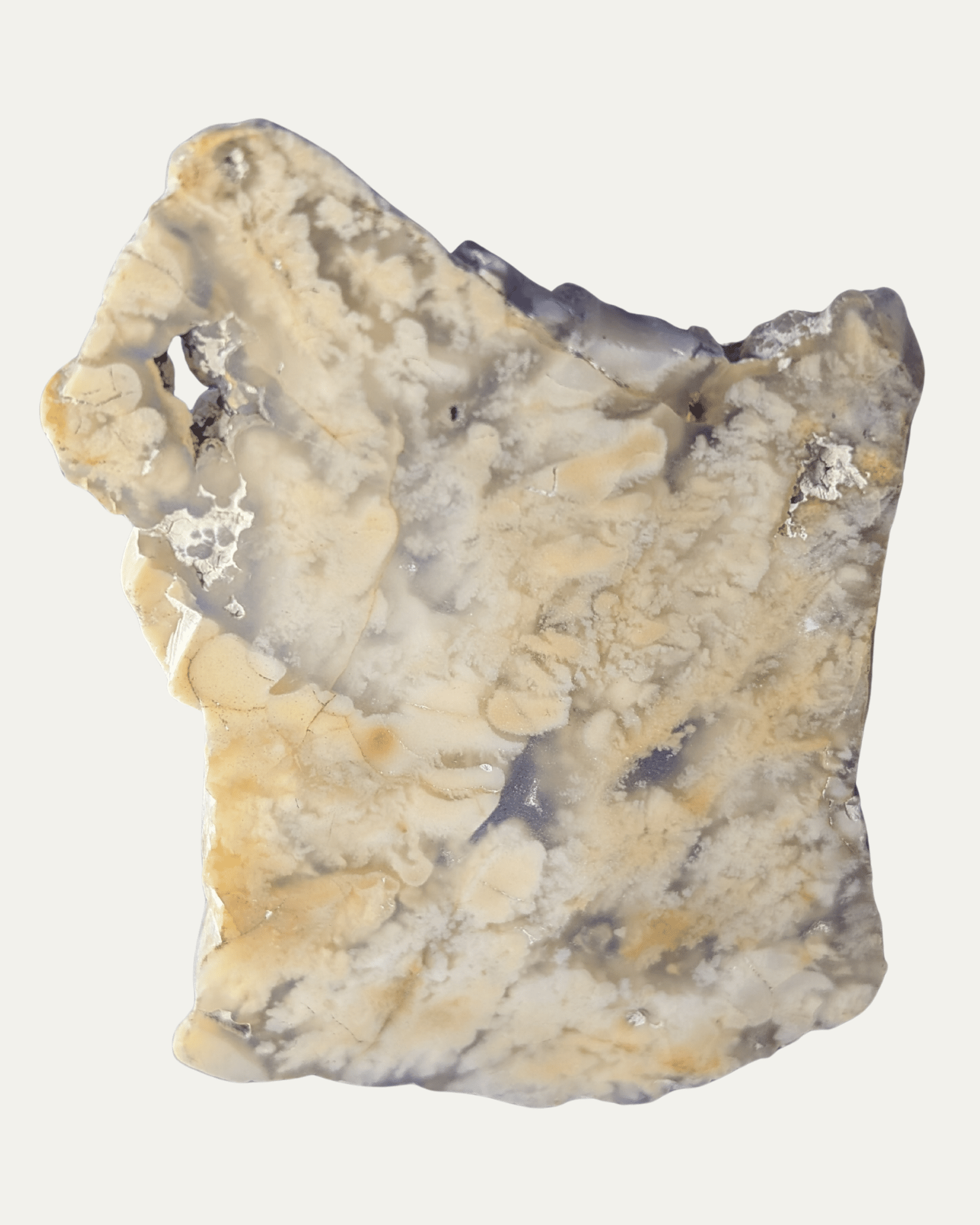 Polished Stinking Water Plume Agate (Oregon) - Lost Ancients Jewelry