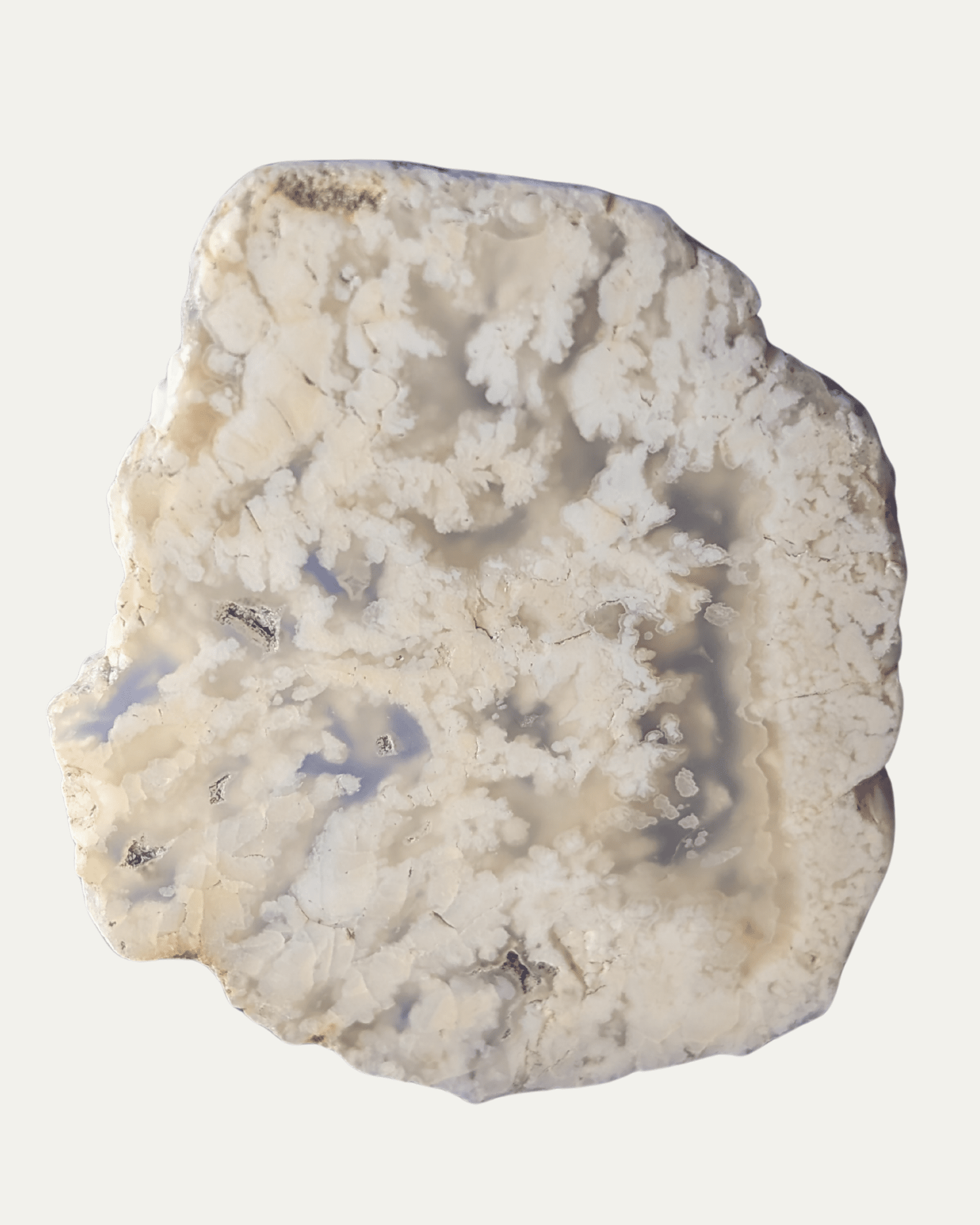 Polished Stinking Water Plume Agate (Oregon) - Lost Ancients Jewelry