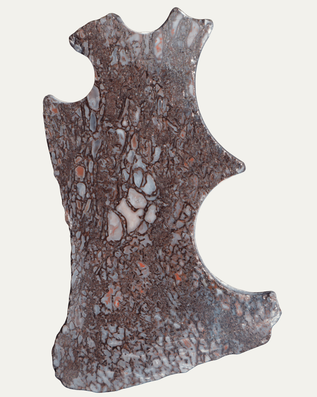 Polished Utah Gem Agatized Dinosaur Bone - Lost Ancients Jewelry