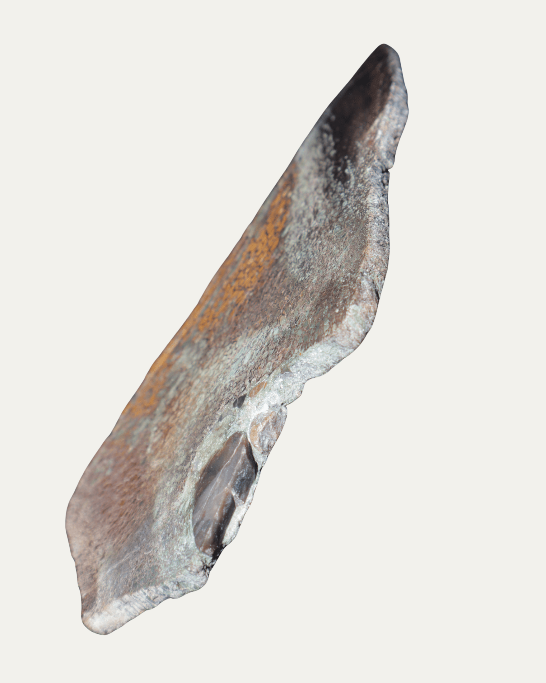 Polished Utah Gem Agatized Dinosaur Bone - Lost Ancients Jewelry