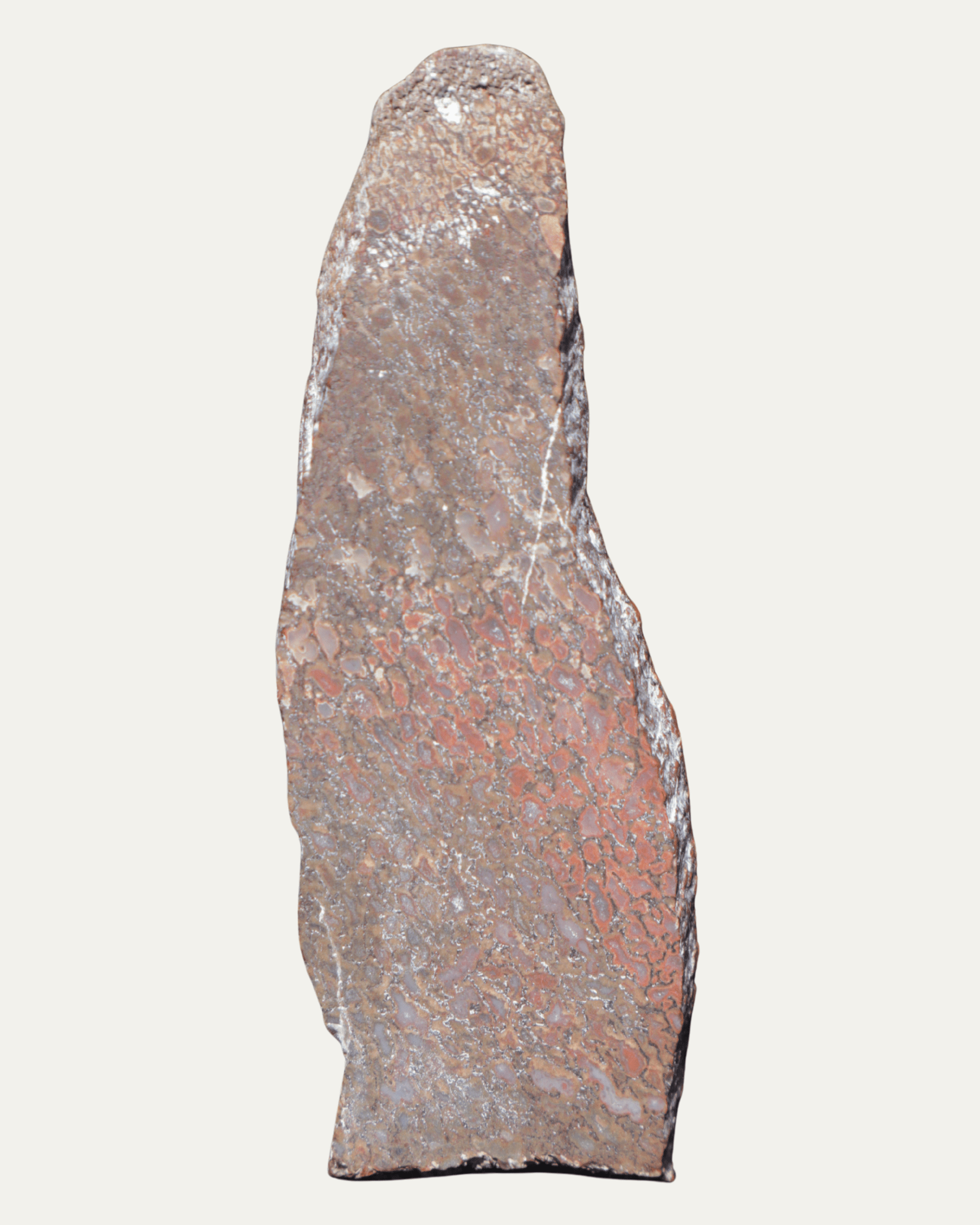 Polished Utah Gem Agatized Dinosaur Bone - Lost Ancients Jewelry