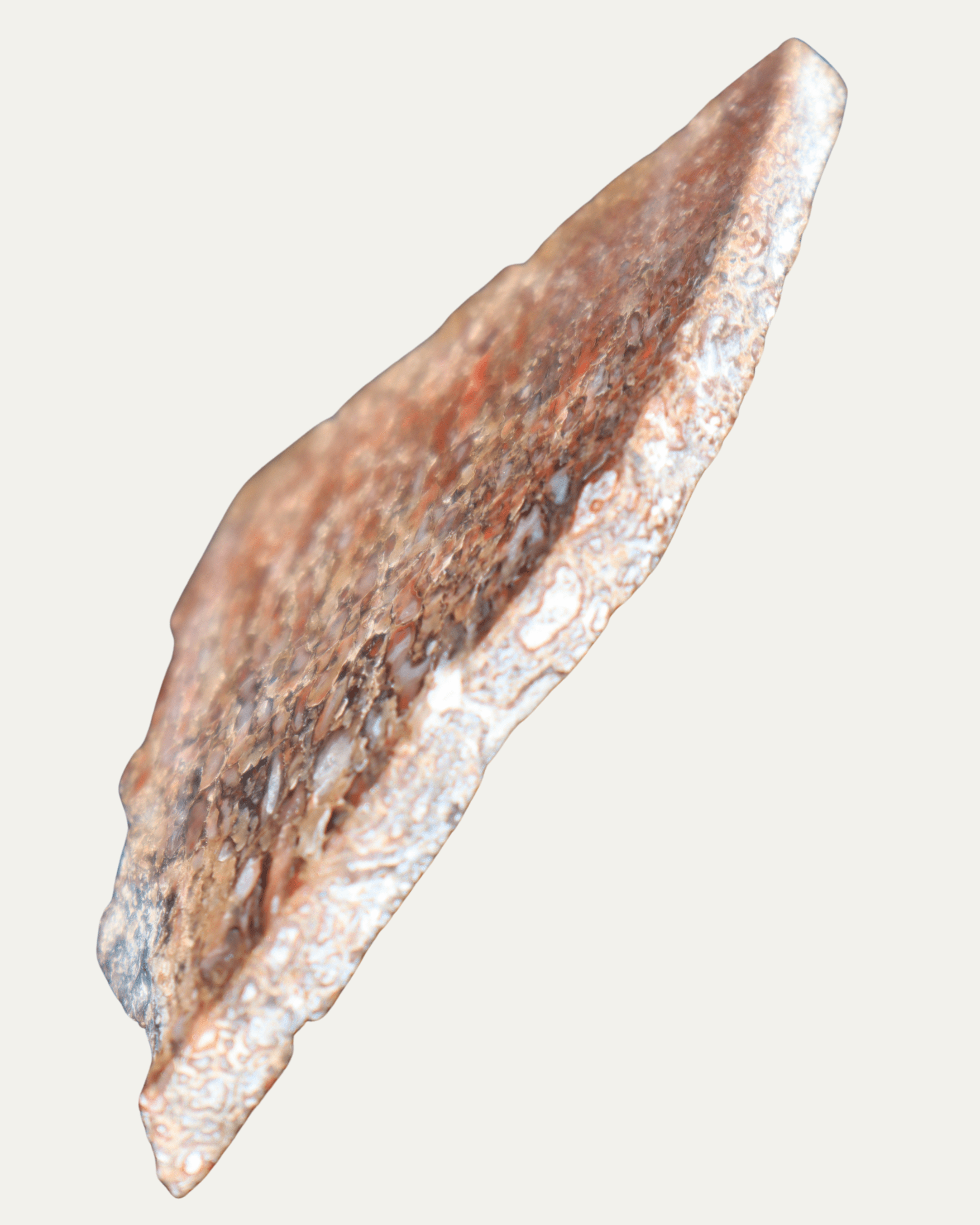 Polished Utah Gem Agatized Dinosaur Bone - Lost Ancients Jewelry