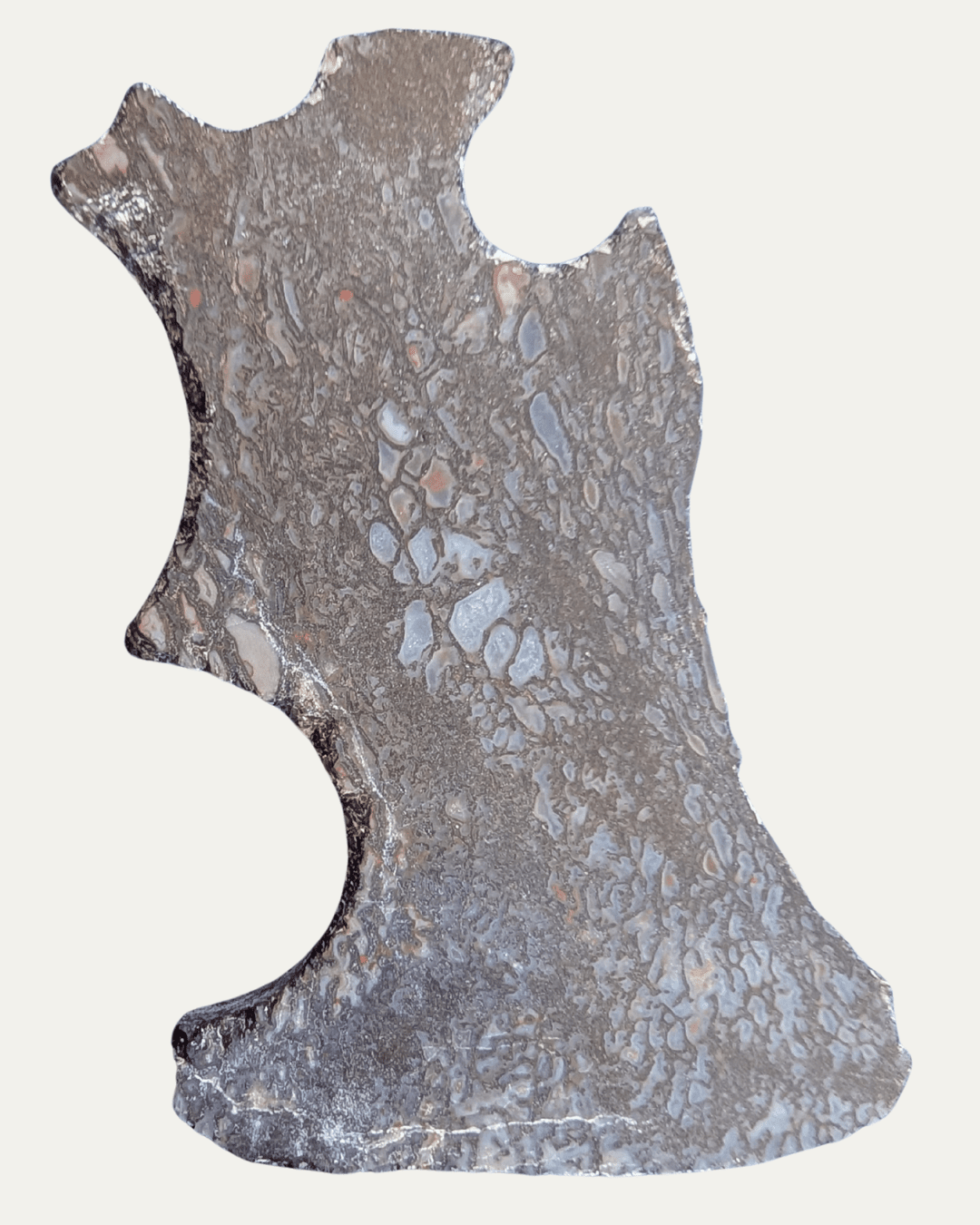 Polished Utah Gem Agatized Dinosaur Bone - Lost Ancients Jewelry